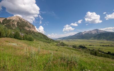 JUST LISTED A Breathtaking Lot in The Summit of Mt. Crested Butte