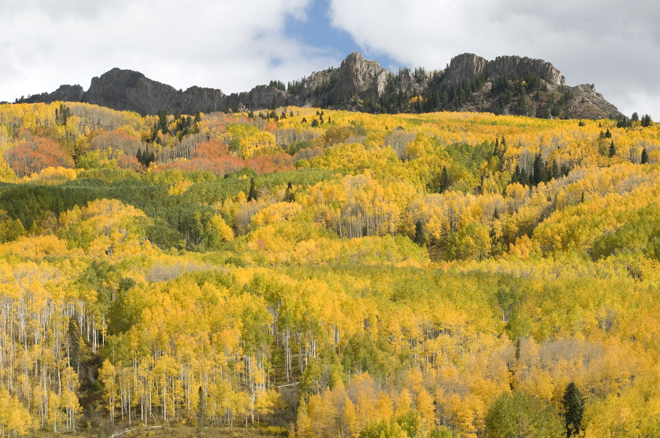 City of Gunnison 