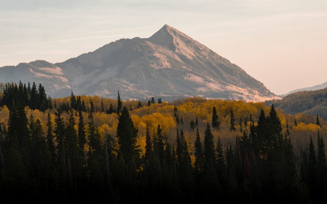 Crested Butte Fall